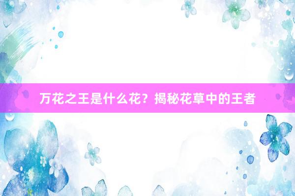 万花之王是什么花？揭秘花草中的王者