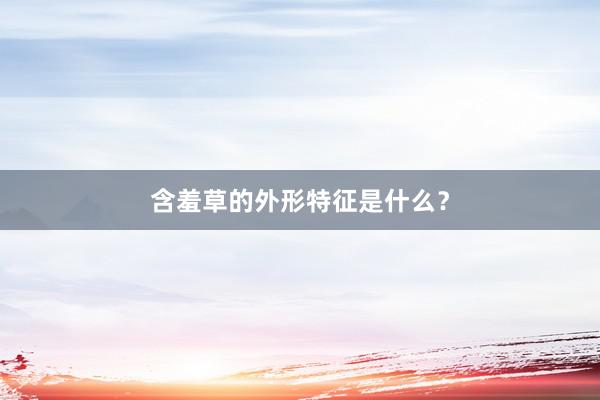 含羞草的外形特征是什么？